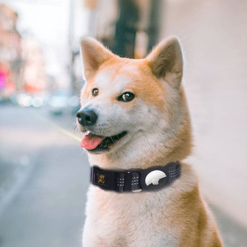 Collier Porte AirTag pour Chien – Sécurité Anti-Perte, Étanche