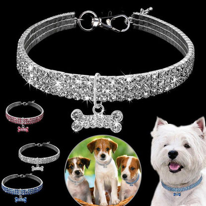 Collier pour Chien en Strass Scintillant
