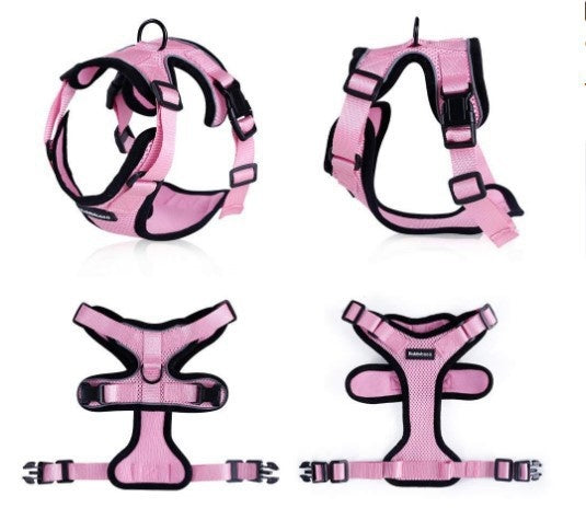 Harnais Gilet Respirant Anti-Évasion pour Chat avec Laisse