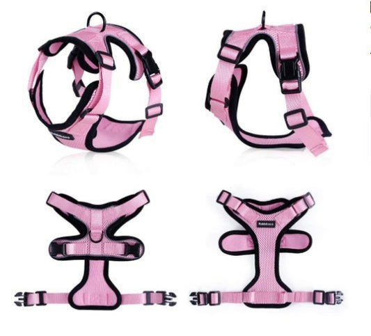 Harnais Gilet Respirant Anti-Évasion pour Chat avec Laisse