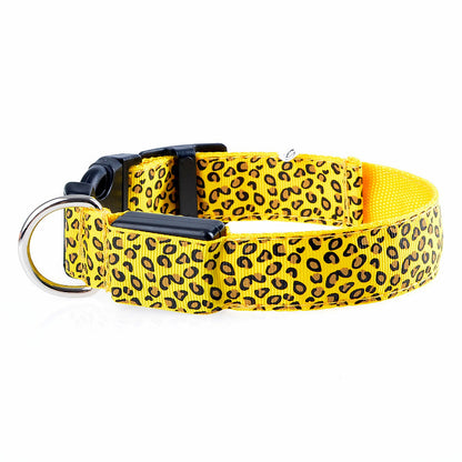 Collier pour Chien LED Lumineux – Rechargeable USB