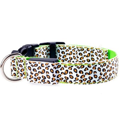 Collier pour Chien LED Lumineux – Rechargeable USB