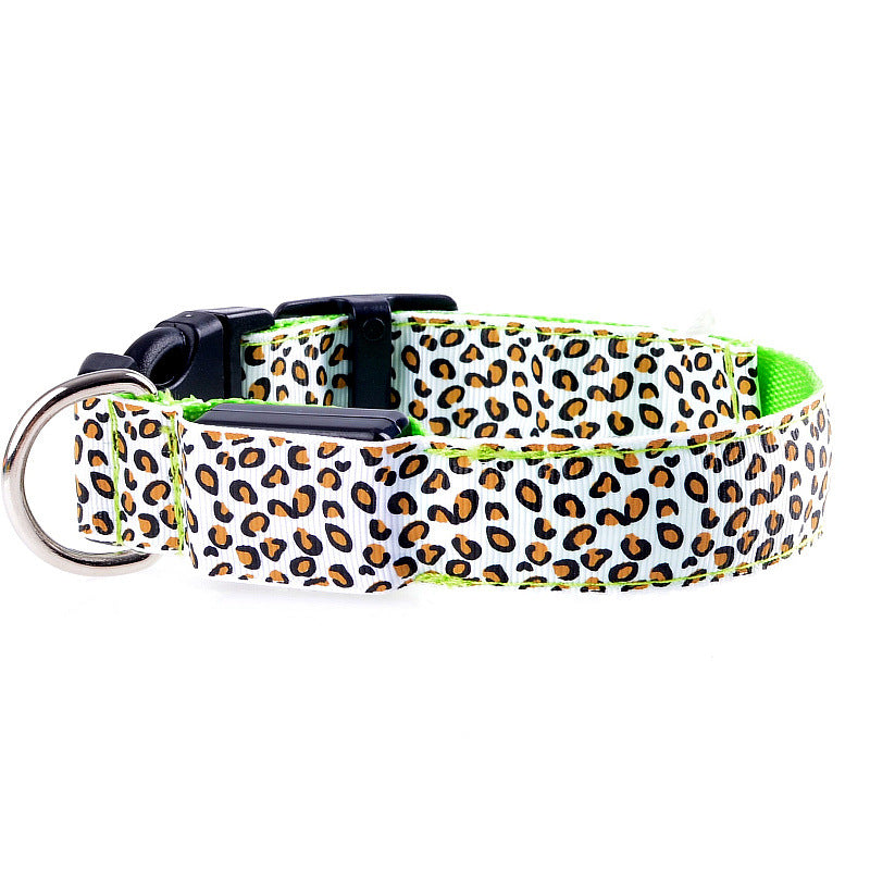 Collier pour Chien LED Lumineux – Rechargeable USB