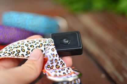 Collier pour Chien LED Lumineux – Rechargeable USB