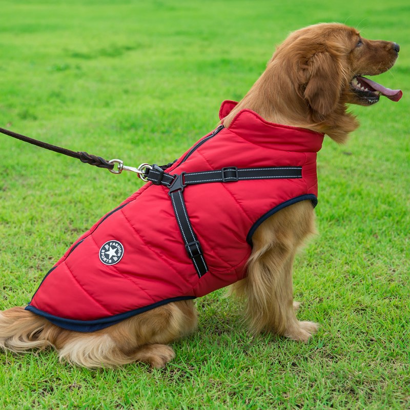 Doudoune Chien Hiver Imperméable & Polaire avec Harnais Intégré – Vêtement Chaud