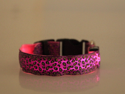 Collier pour Chien LED Lumineux – Rechargeable USB