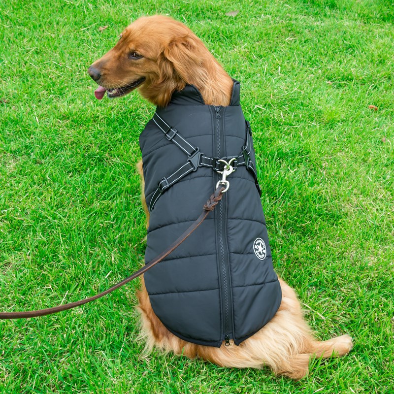 Doudoune Chien Hiver Imperméable & Polaire avec Harnais Intégré – Vêtement Chaud