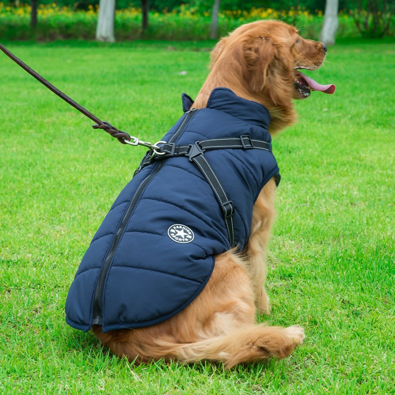 Doudoune Chien Hiver Imperméable & Polaire avec Harnais Intégré – Vêtement Chaud