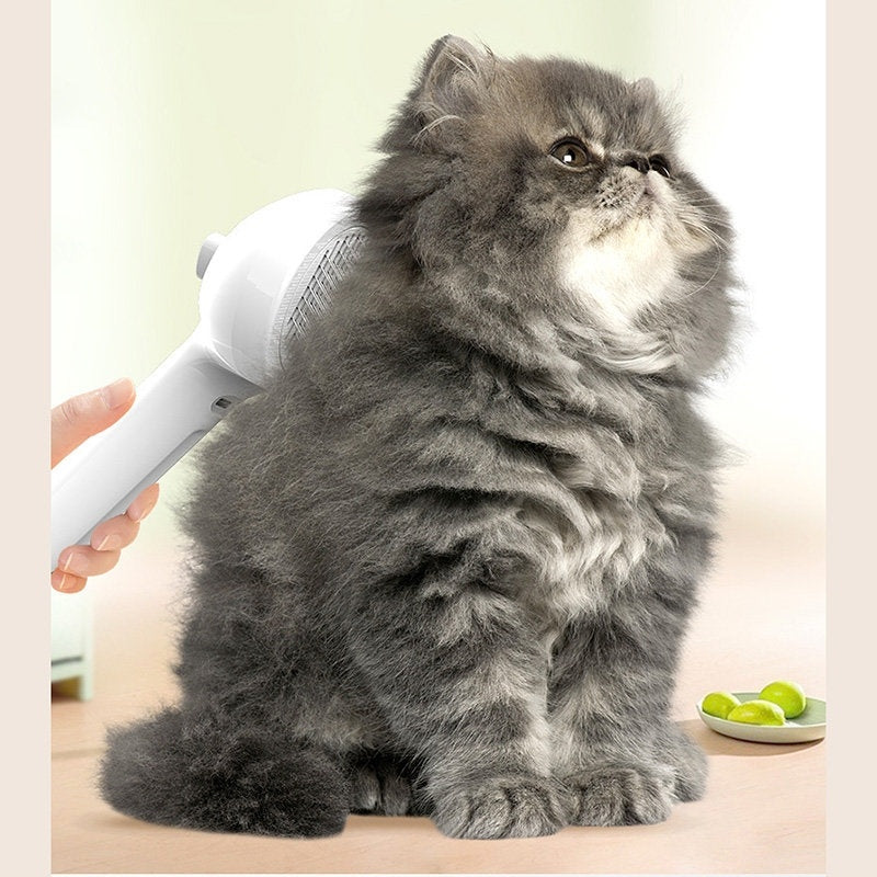 Brosse de Toilettage Révolutionnaire 2-en-1 avec Brumisateur Intégré