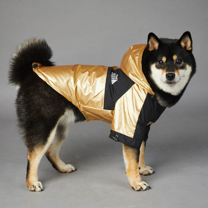 Manteau Urbain "The Dog Fans" pour Chien – Style et Protection Imperméable & Coupe-Vent
