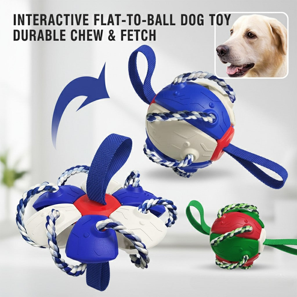 Balle Soucoupe Volante 2-en-1 pour Chien - Jouet Interactif, Élastique et Mâcher
