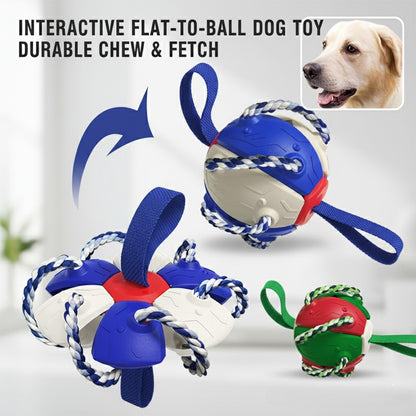 Balle Soucoupe Volante 2-en-1 pour Chien - Jouet Interactif, Élastique et Mâcher