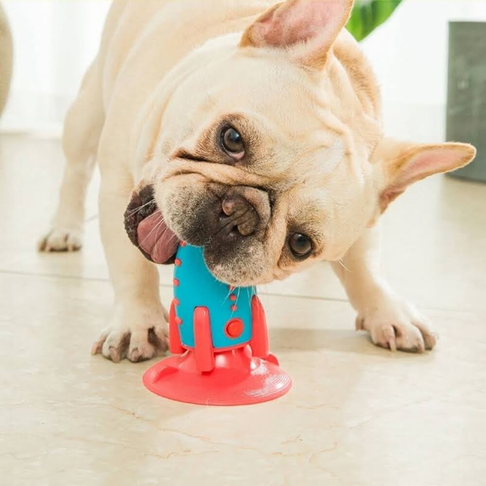 Jouet Brosse à Dents pour Chien – Modèle Rocket Anti-Ennui à Ventouse