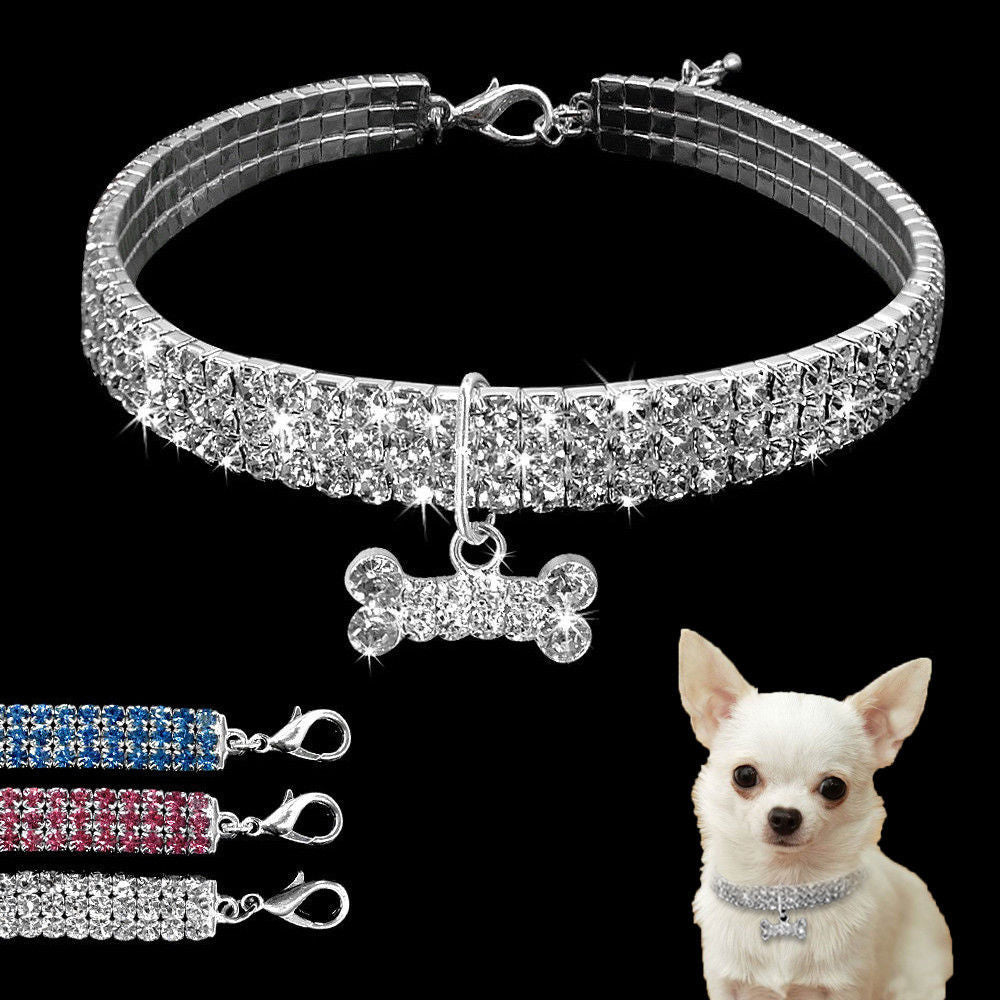 Collier pour Chien en Strass Scintillant