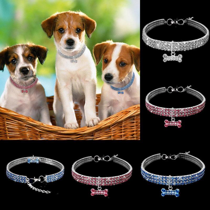 Collier pour Chien en Strass Scintillant