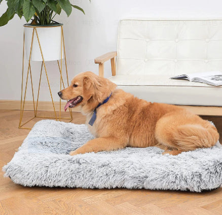 Lit pour Chien Orthopédique à Mousse Alvéolée & Entièrement Imperméable