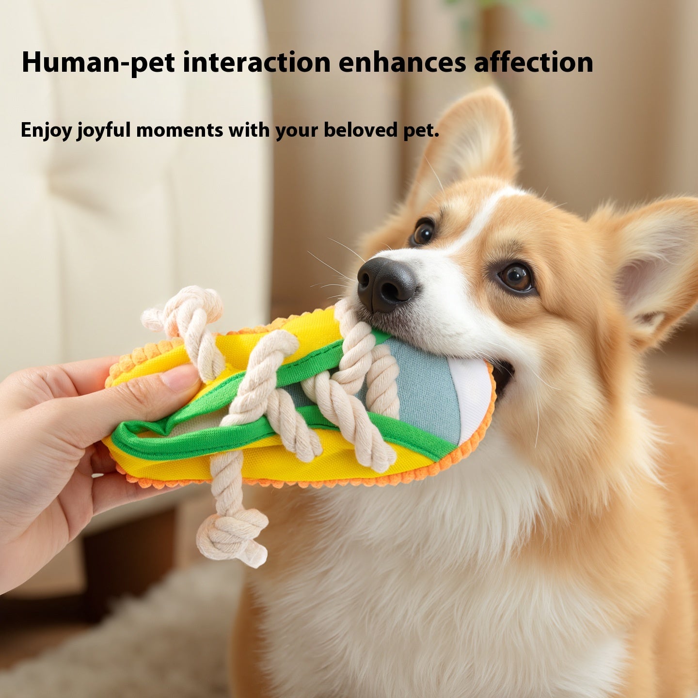 Jouet pour Chien en Forme de Chaussure Nœud Tressé