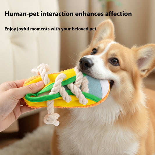 Jouet pour Chien en Forme de Chaussure Nœud Tressé