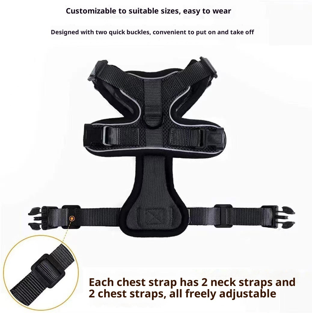 Harnais Gilet Respirant Anti-Évasion pour Chat avec Laisse