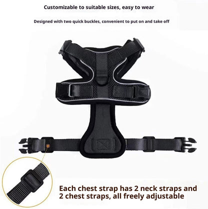 Harnais Gilet Respirant Anti-Évasion pour Chat avec Laisse