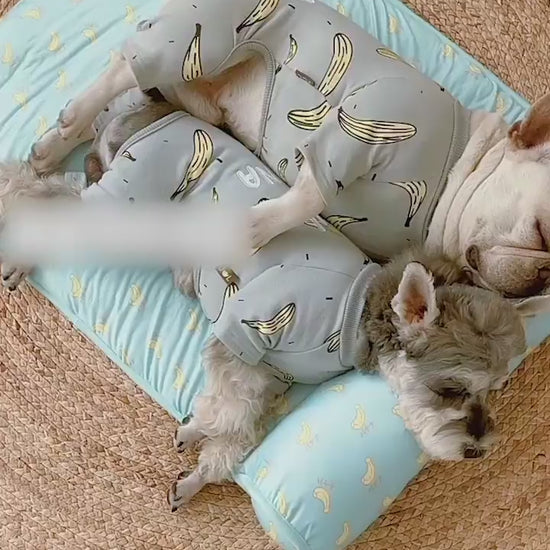 Summer Ice Silk Cool Feeling Pet Mat